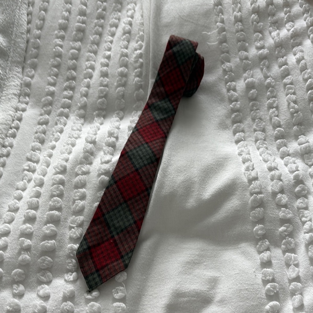 Plaid Red and Teal Men's Tie